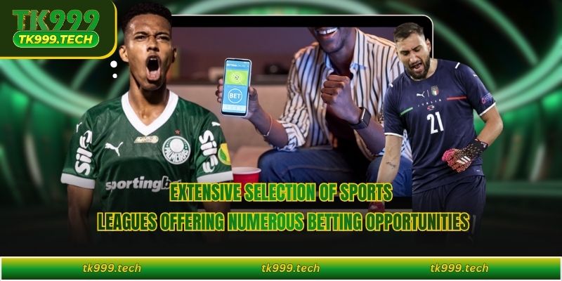 Extensive selection of sports leagues offering numerous betting opportunities