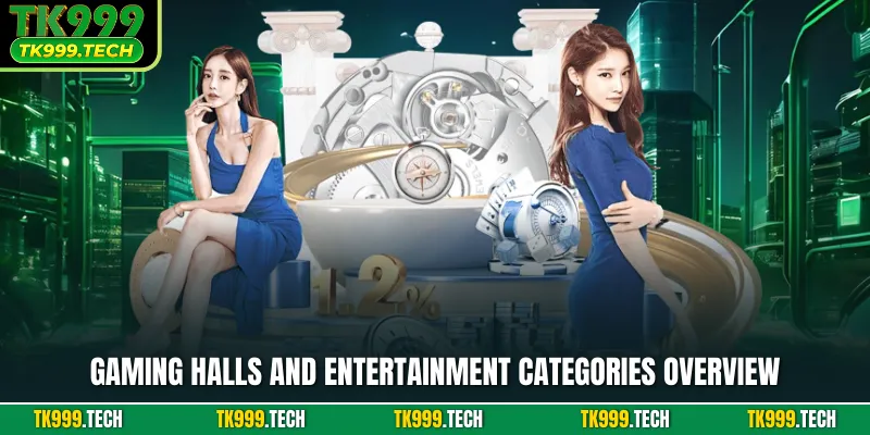 Gaming halls and entertainment categories overview