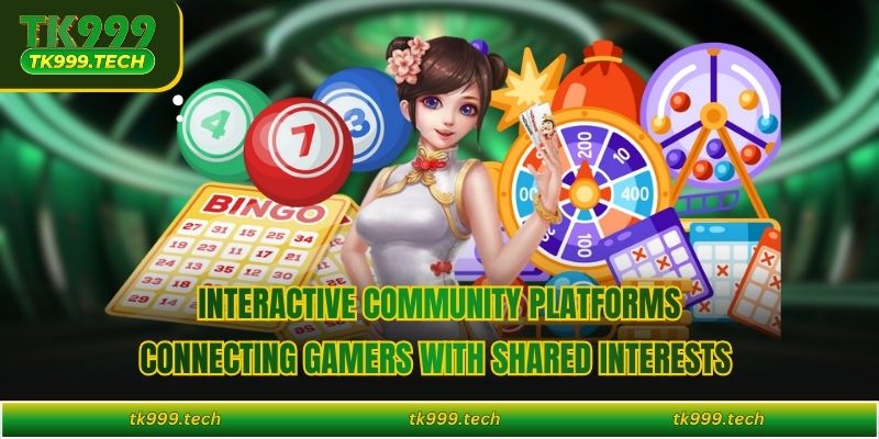 Interactive community platforms connecting gamers with shared interests  