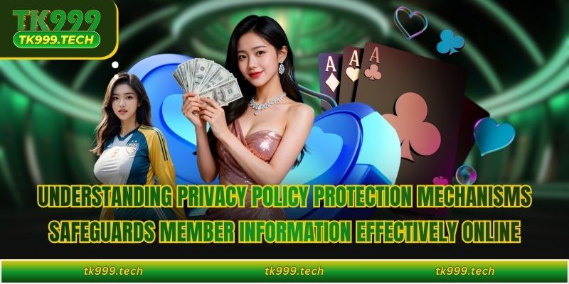 Understanding privacy policy protection mechanisms safeguards member information effectively online