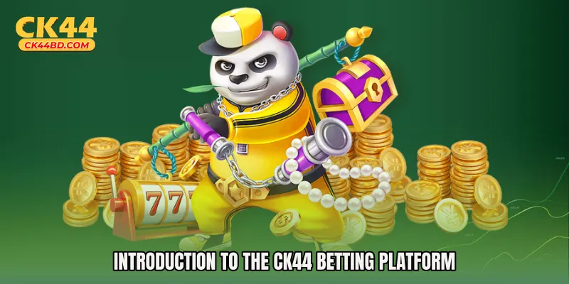 Introduction to the CK44 betting platform