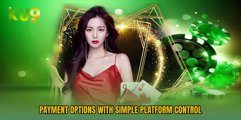 Payment options with simple platform control